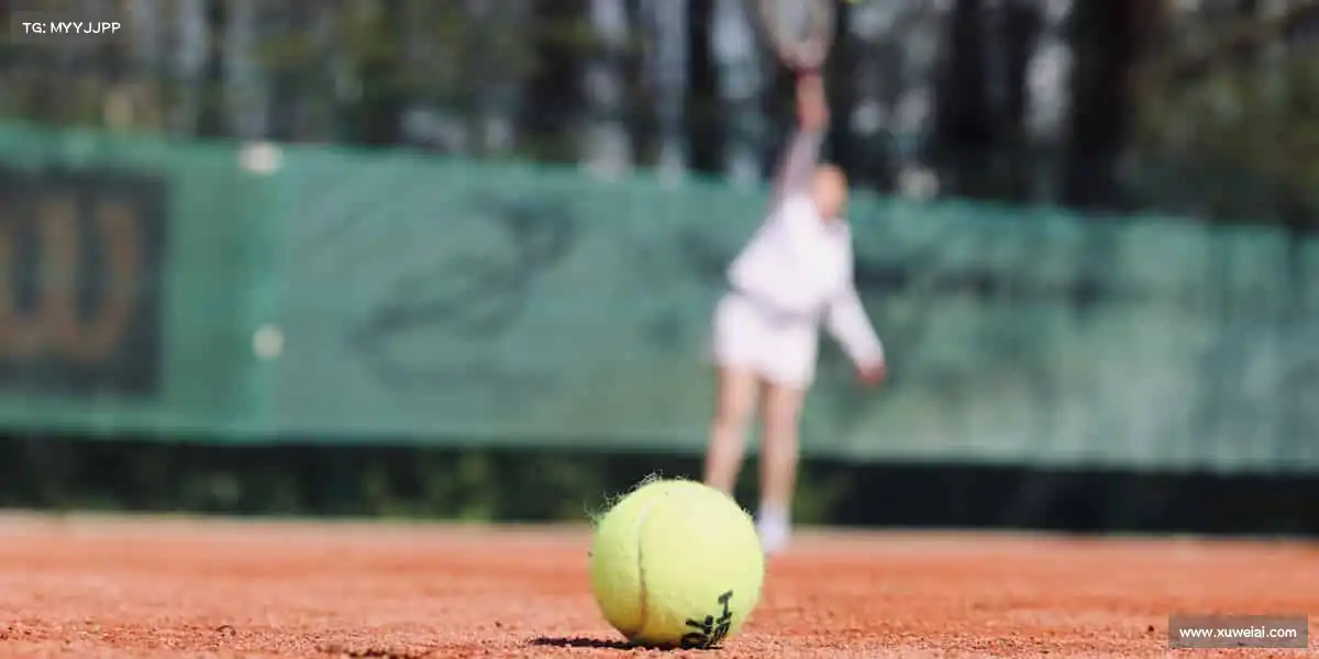 必一运动b-sports——🏆体育精神，永不止步！
